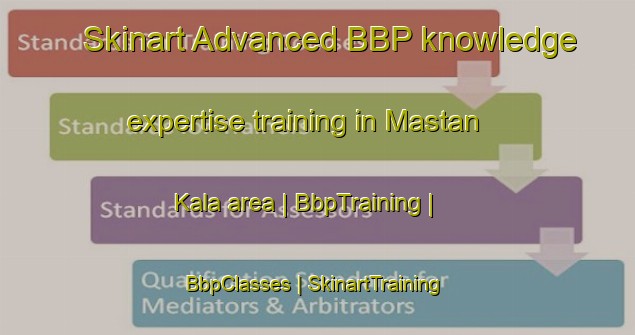 Skinart Advanced BBP knowledge expertise training in Mastan Kala area | BbpTraining | BbpClasses | SkinartTraining-Afghanistan